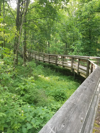 Nature Preserve «Canawaugus Park», reviews and photos, Rochester St, Scottsville, NY 14546, USA