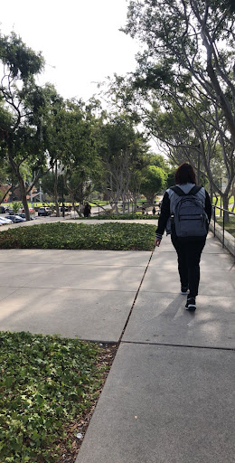 California State University Long Beach image