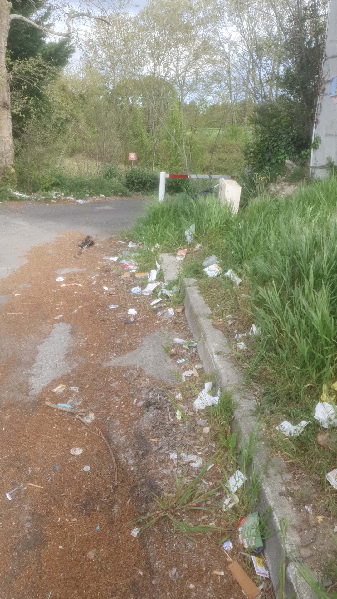 Photo n° 1 de l'avis de Brice.a fait le 13/04/2023 à 15:49