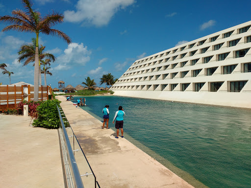 Delphinus Punta Cancún