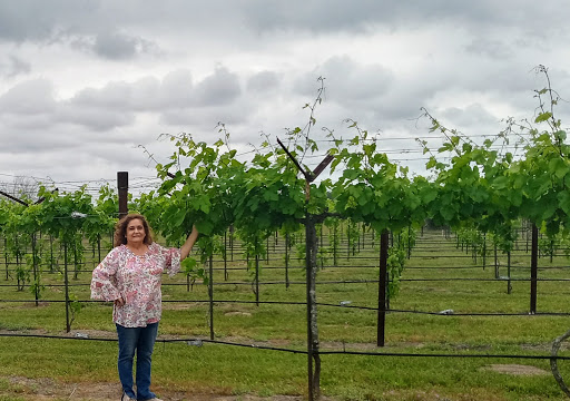 Winery «Texas SouthWind Vineyard & Winery, LLC», reviews and photos, 16375 US-183, Refugio, TX 78377, USA