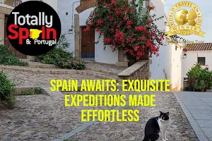 Totally Spain image
