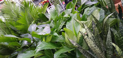 Home Improvement Store «The Home Depot», reviews and photos, 7001 Crestwood Blvd #1300, Birmingham, AL 35210, USA