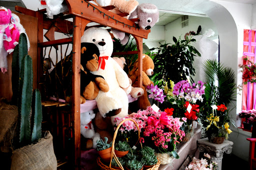 Florist «Atlantic City Flower Shop», reviews and photos, 2329 Atlantic Ave, Atlantic City, NJ 08401, USA