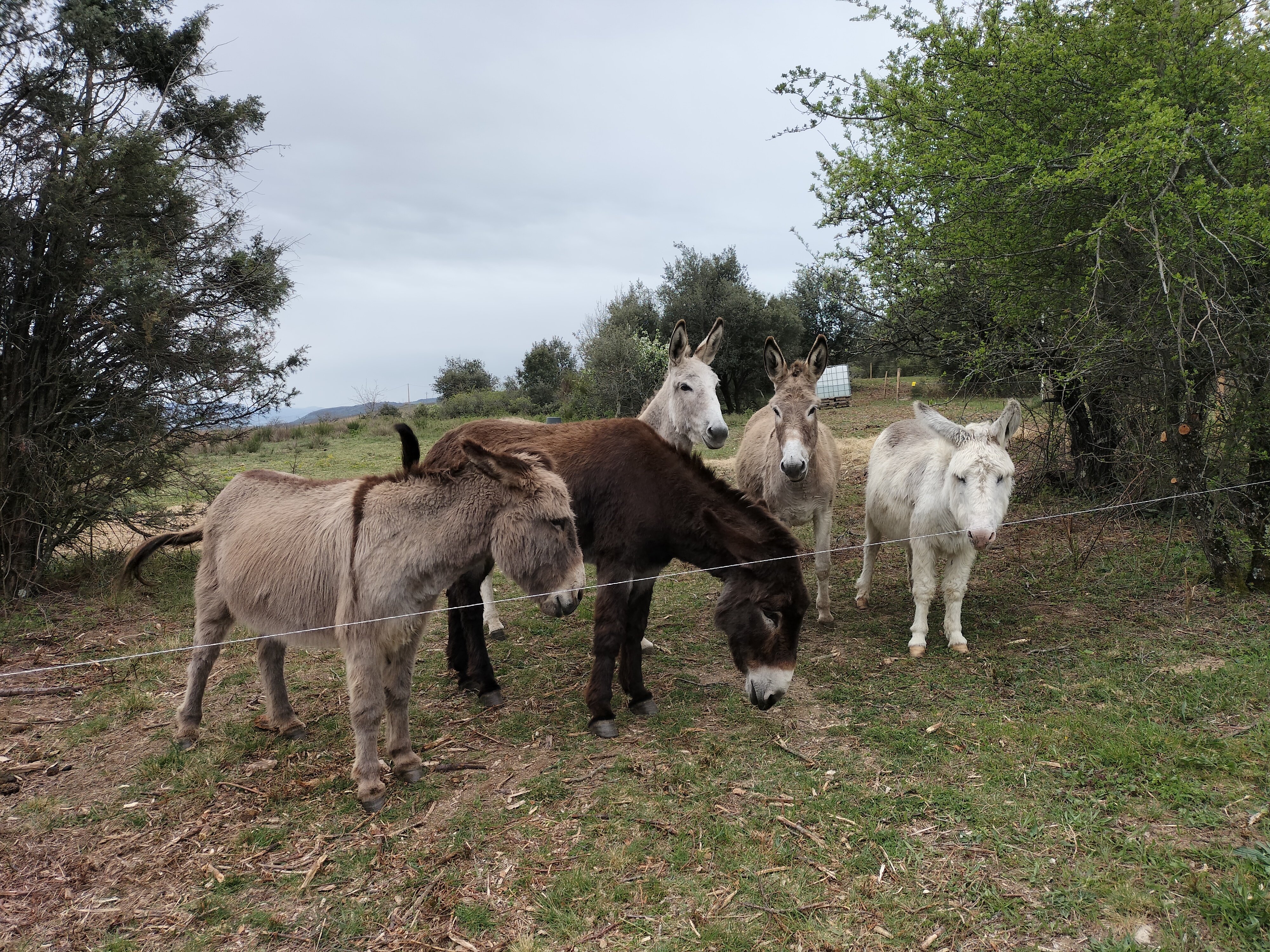 Photo n° 3 de l'avis de Véronique.A fait le 23/04/2023 à 17:00