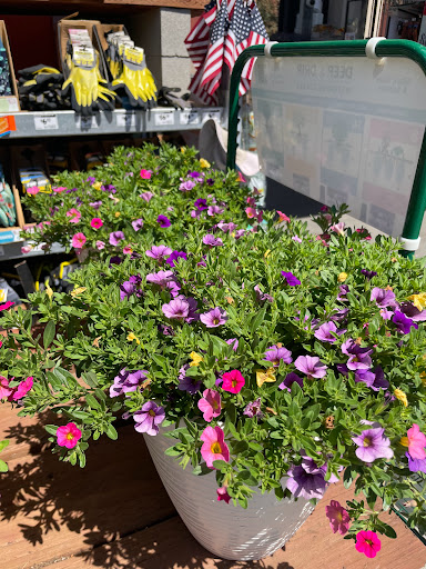 Home Improvement Store «The Home Depot», reviews and photos, 480 E Hamilton Ave, Campbell, CA 95008, USA