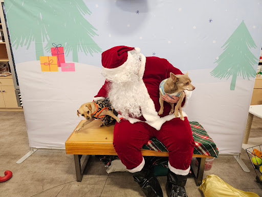 Petco image