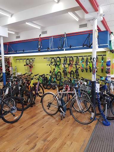 Bicycle Store «Quad Cycles», reviews and photos, 1043 Massachusetts Ave, Arlington, MA 02476, USA