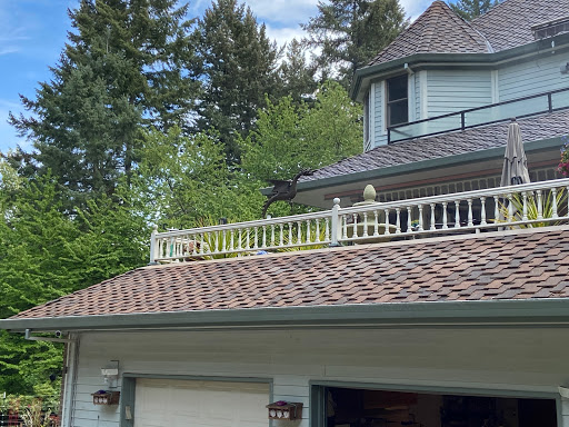 Roofing Contractor «Roof Life of Oregon», reviews and photos