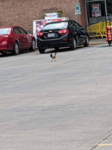 Discount Store «Dollar General», reviews and photos, 19320 Florida Blvd, Albany, LA 70711, USA