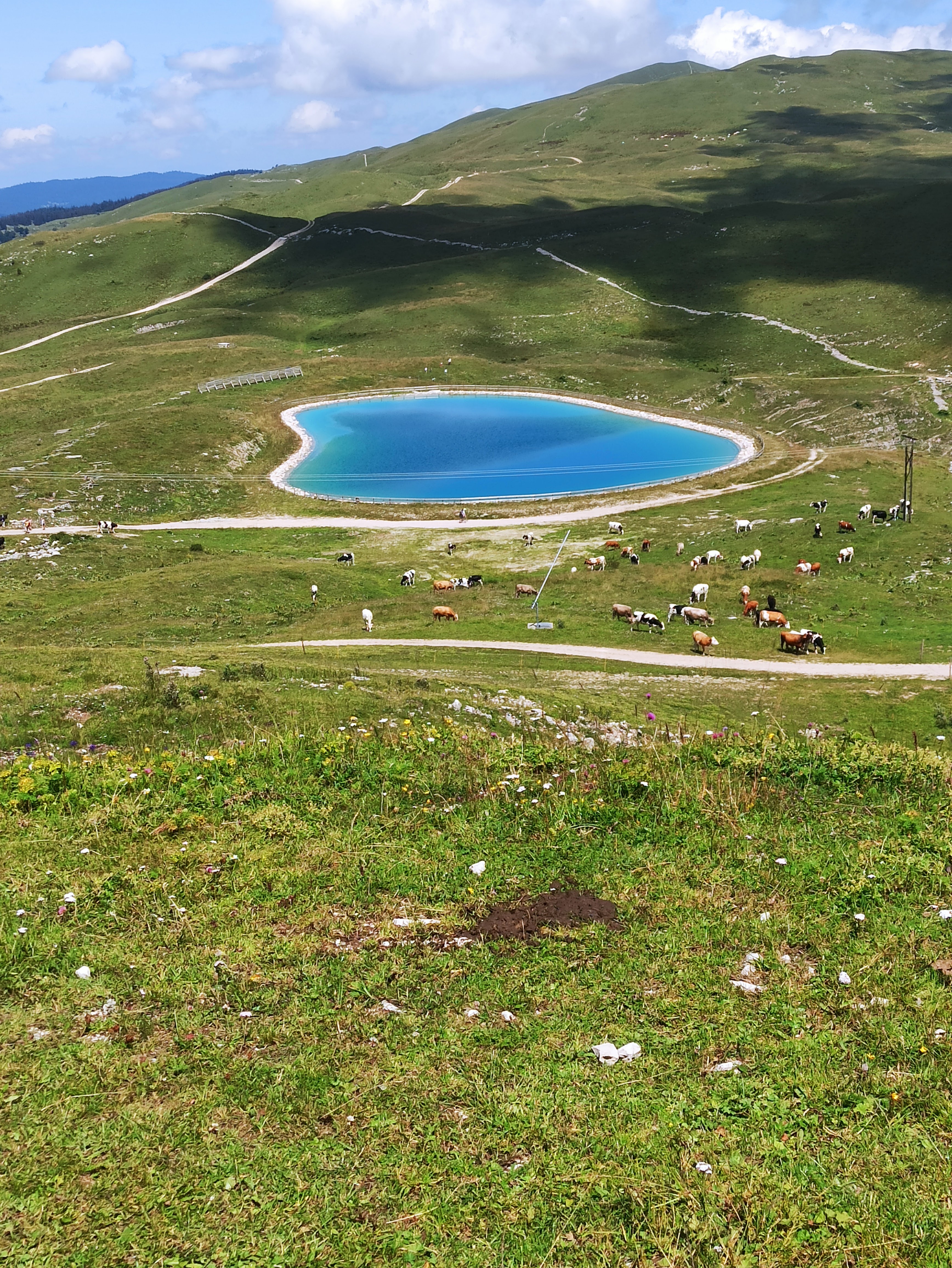 Photo n° 12 de l'avis de Doume.e fait le 30/07/2021 à 10:35