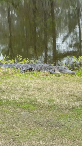 Golf Course «Riverview Park Golf Course», reviews and photos, 100 Riverview Park Dr, Dublin, GA 31021, USA