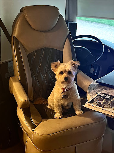 Brewery «Miner Brewing Company», reviews and photos