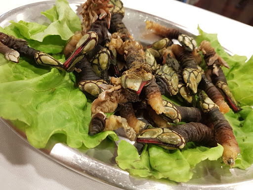 Restaurants to eat prawns in Oporto