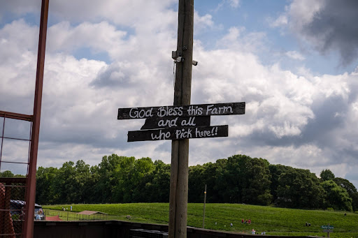 Farm «Warbington Farms (U-Pick Strawberries)», reviews and photos, 5555 Crow Rd, Cumming, GA 30041, USA