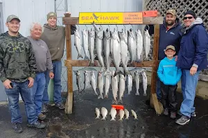 Sea Hawk Fishing Charters image