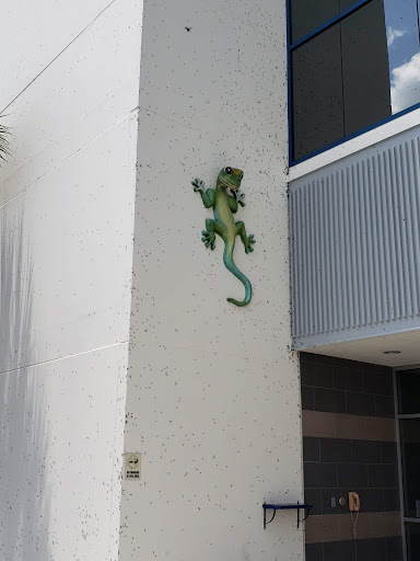 Insurance Agency «GEICO Corporate Office», reviews and photos