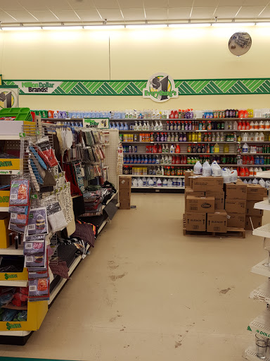 Dollar Store «Dollar Tree», reviews and photos, 31014 Pacific Hwy S, Federal Way, WA 98003, USA