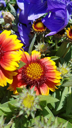 Discount Store «Walmart», reviews and photos, 450 Highland Ave, Salem, MA 01970, USA