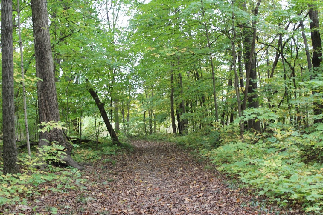 Oakhurst Forest Preserve
