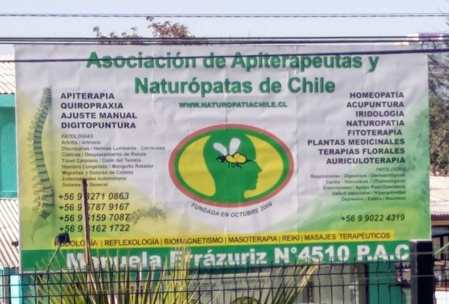 Opiniones de Asociación de Apiterapeutas y Neuropatas de Chile en Pedro Aguirre Cerda - Asociación