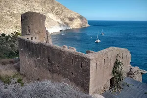 Castillo de San Pedro image