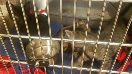 Pet Supply Store «PetSmart», reviews and photos, 10625 N Oracle Rd, Oro Valley, AZ 85737, USA