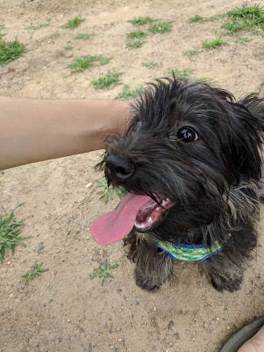 Park «Eugene Simpson Stadium Park», reviews and photos, 426 E Monroe Ave, Alexandria, VA 22301, USA