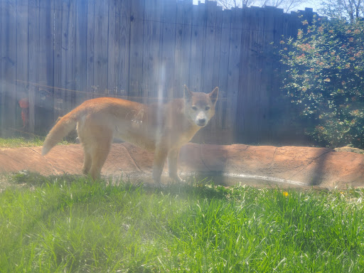 Zoo «Columbian Park Zoo», reviews and photos, 1915 Scott St, Lafayette, IN 47904, USA