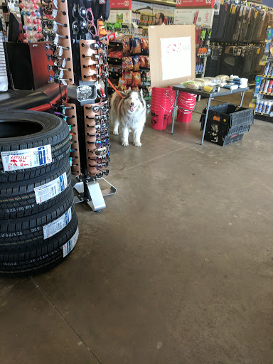 Auto Parts Store «Pep Boys Auto Parts & Service», reviews and photos, 6581 Steubenville Pike, Crafton, PA 15205, USA