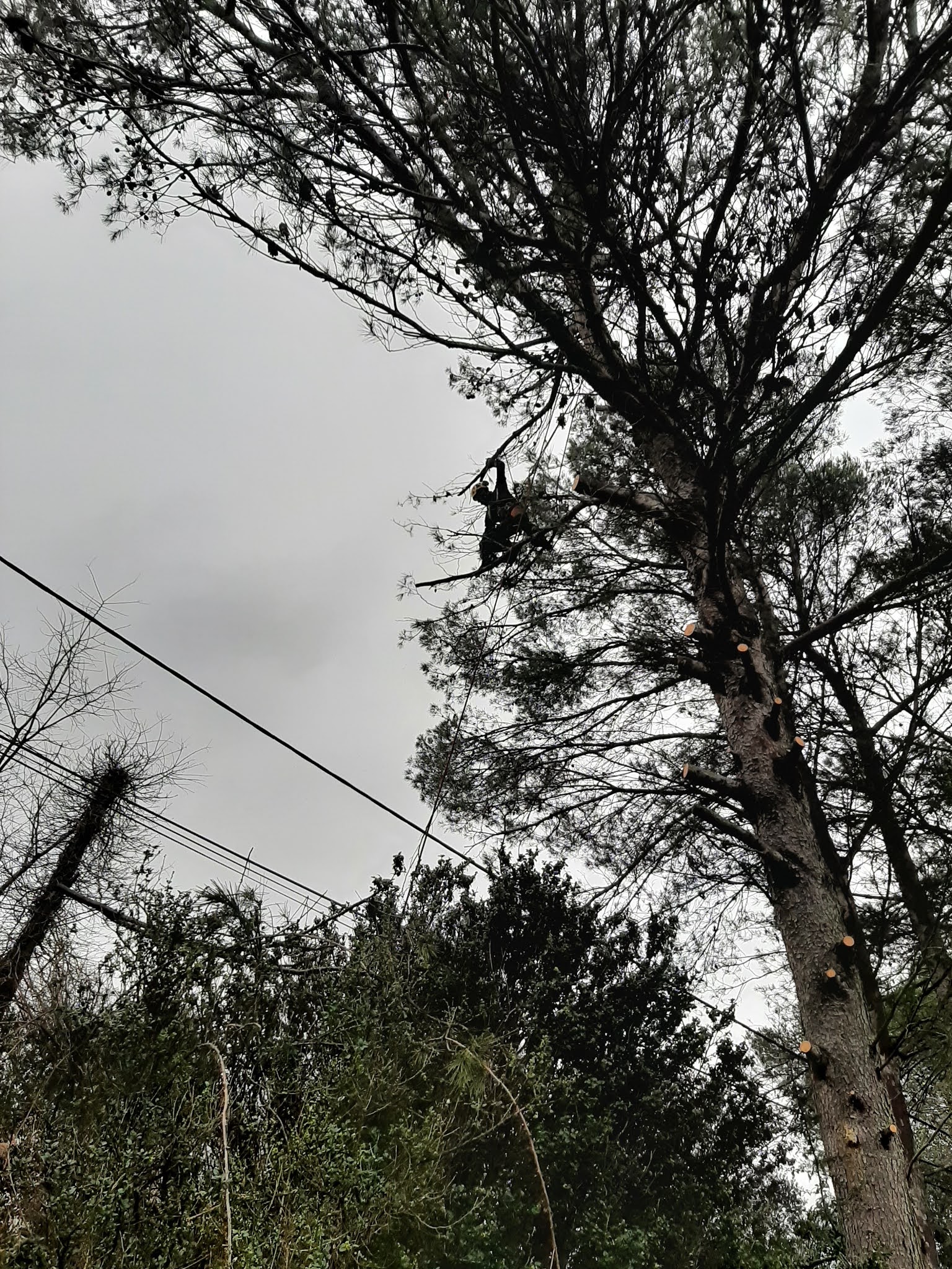 Photo n° 3 de l'avis de Bravo.a fait le 16/02/2021 à 19:43