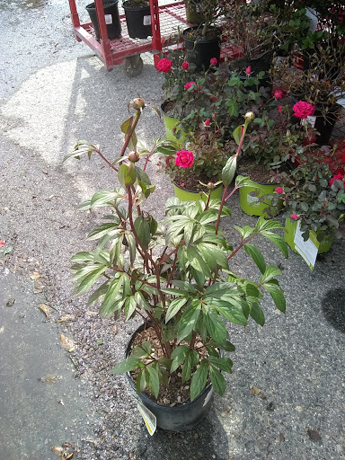 Home Improvement Store «The Home Depot», reviews and photos, 535 Grand Army of the Republic Hwy, Somerset, MA 02725, USA