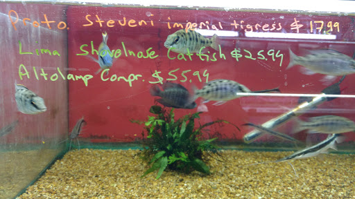 Shopping Mall «Chester Shopping Mall», reviews and photos, 23 W Main St, Chester, NJ 07930, USA