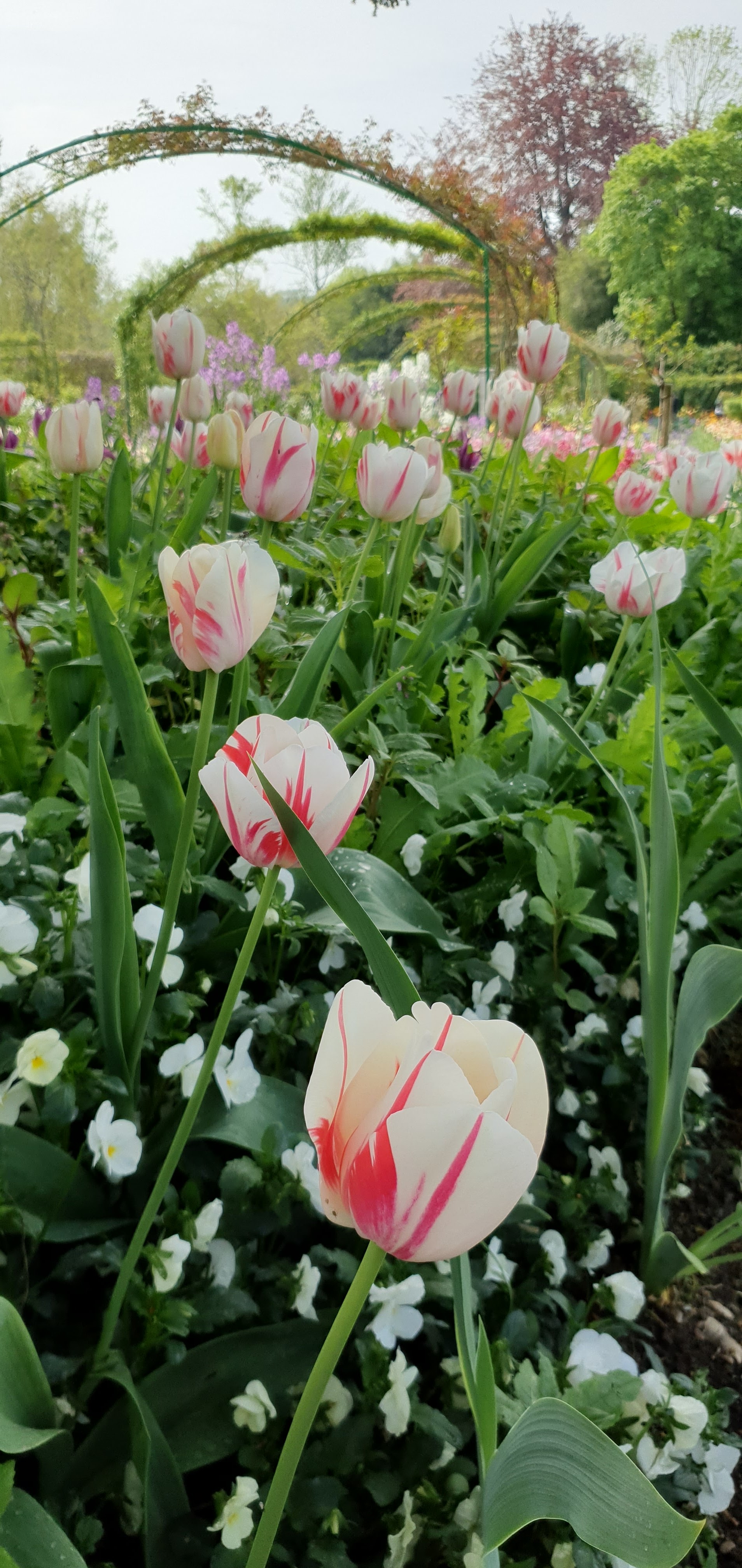 Photo n° 12 de l'avis de CS.. fait le 03/06/2022 à 19:41