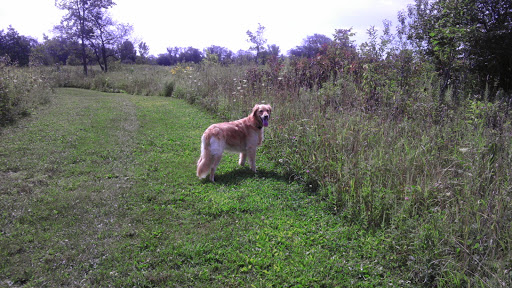 Nature Preserve «Hickory Creek Preserve», reviews and photos, Wolf Rd, Mokena, IL 60448, USA