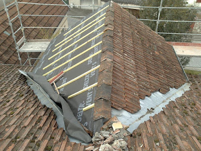 NL Couvreur recherche de fuite, Nettoyage Demoussage Toiture protection à Orléans
