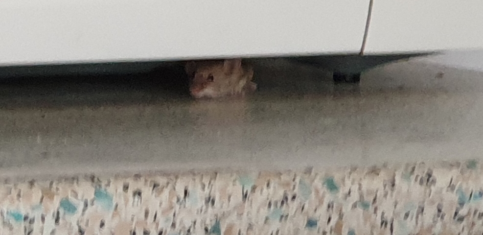 Photo n° 2 de l'avis de Gaëlle.O fait le 15/09/2019 à 09:07
