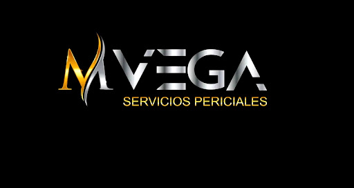 MVEGA SERVICIOS PERICIALES