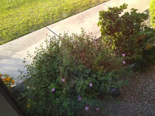 Country Club «Fountain of the Sun Country Club», reviews and photos, 500 S 80th St, Mesa, AZ 85208, USA