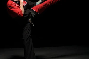 STOKE FREESTYLE KICKBOXING image