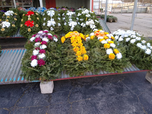 Florist «Pinters Flowerland», reviews and photos, 6830 Rawsonville Rd, Belleville, MI 48111, USA