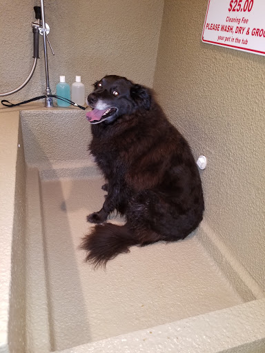 Pet Store «Cookies Pet Corner & Wash», reviews and photos, 1010 Bethel Ave, Port Orchard, WA 98366, USA