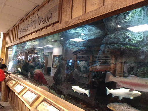 Clothing Store «L.L. Bean», reviews and photos, 95 Main St, Freeport, ME 04032, USA