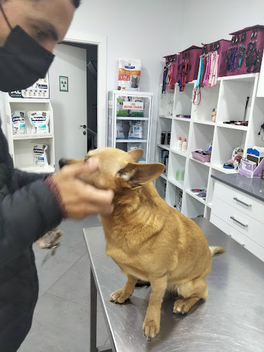 Clínica Veterinaria Susana en Villarreal