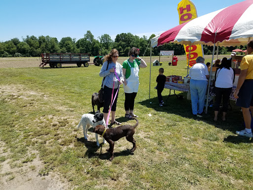 Dog Care «Hot Diggity Dog!», reviews and photos, 425 Salina Rd, Sewell, NJ 08080, USA