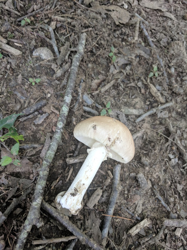 State Park «Wilson Mountain Reservation», reviews and photos, 384 Common St, Dedham, MA 02026, USA