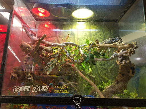 Pet Supply Store «Pet Club Santa Rosa», reviews and photos, 1935 Santa Rosa Ave, Santa Rosa, CA 95407, USA