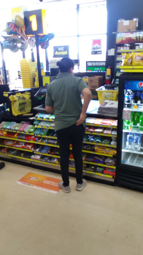 Home Goods Store «Dollar General», reviews and photos, 155 S Grant St, Alto, GA 30510, USA