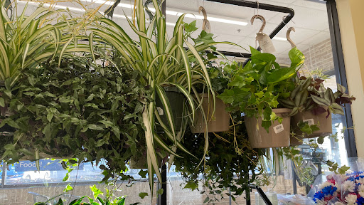 Supermarket «Weis Markets», reviews and photos, 36731 Old Mill Rd, Millville, DE 19967, USA