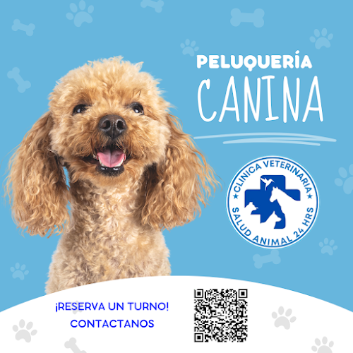 Clínica Veterinaria Salud Animal